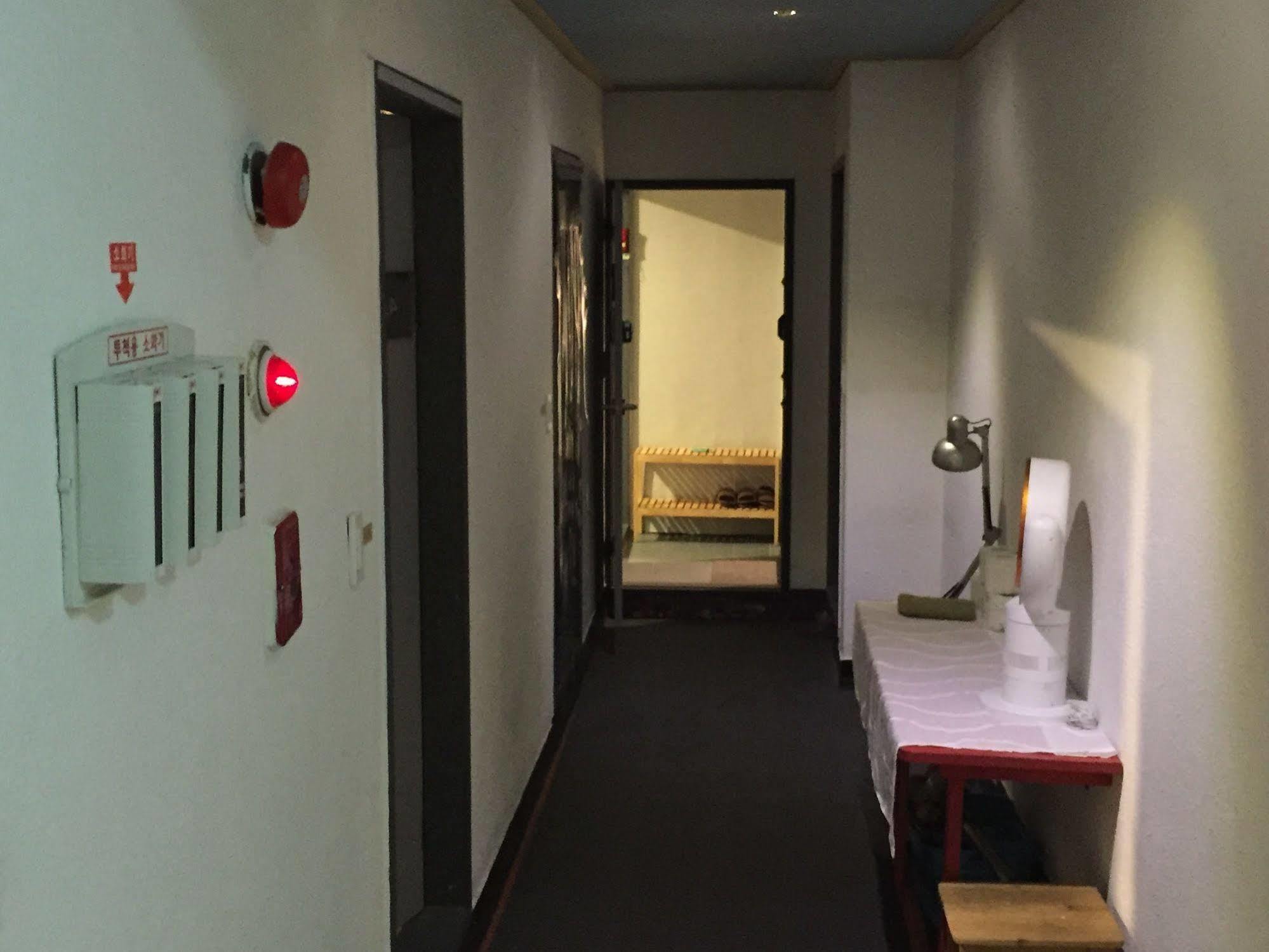 Backpackers In Jeju City Center Ngoại thất bức ảnh